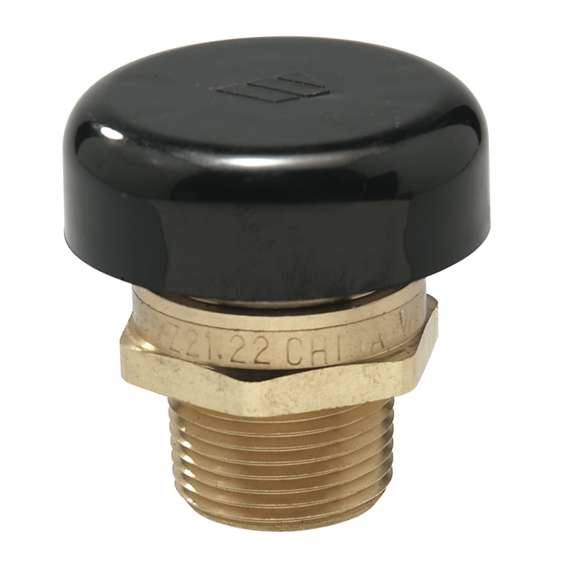Watts N36 3/4" Vacuum Relief Valve 0138516