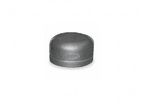 Boshart 38SS304CAP SS304CA-03 3/8" 304SS CAP ISO4144